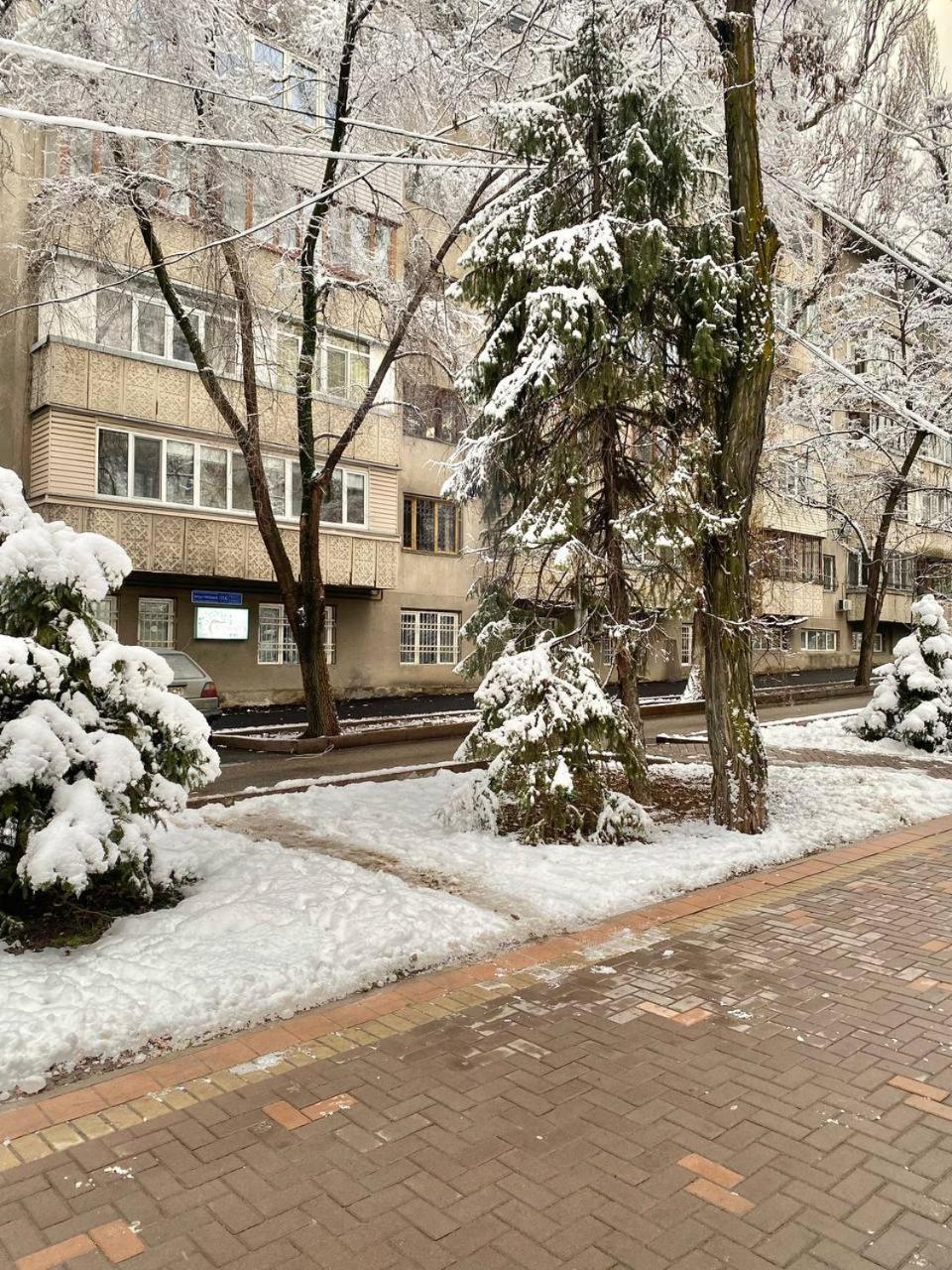 Alma-Ata Hostel 외부 사진