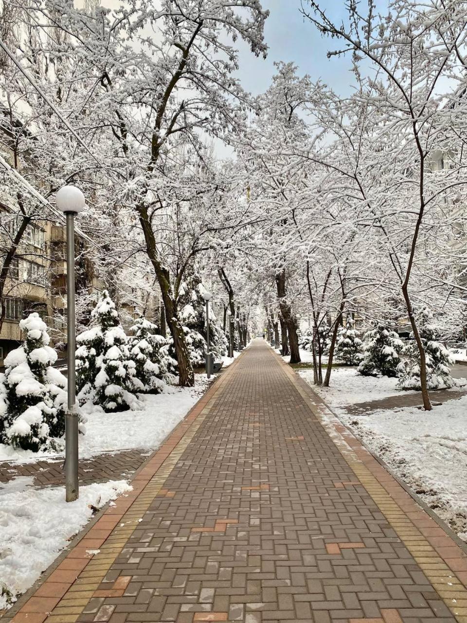 Alma-Ata Hostel 외부 사진