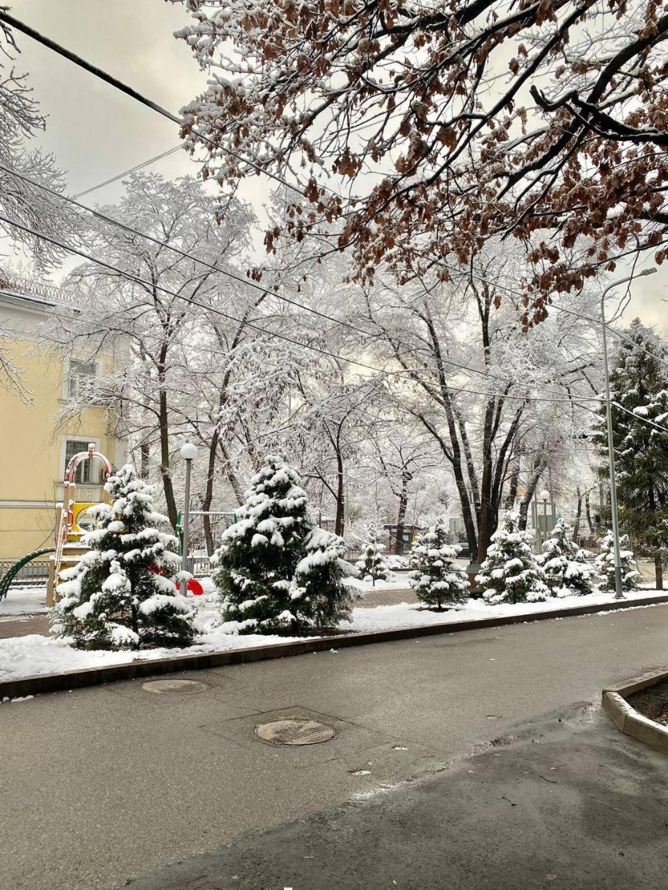 Alma-Ata Hostel 외부 사진